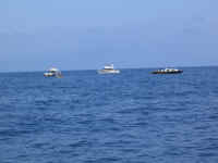 BLZ_fishing boats at Gladden Spit.jpg (212935 bytes)