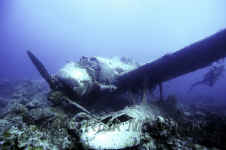 Pal_seaplane_wreck.jpg (215630 bytes)